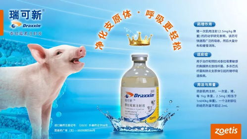 国际非洲猪瘟疫情再拉警报 两万头猪一夜“蒸发”背后的非典型反思